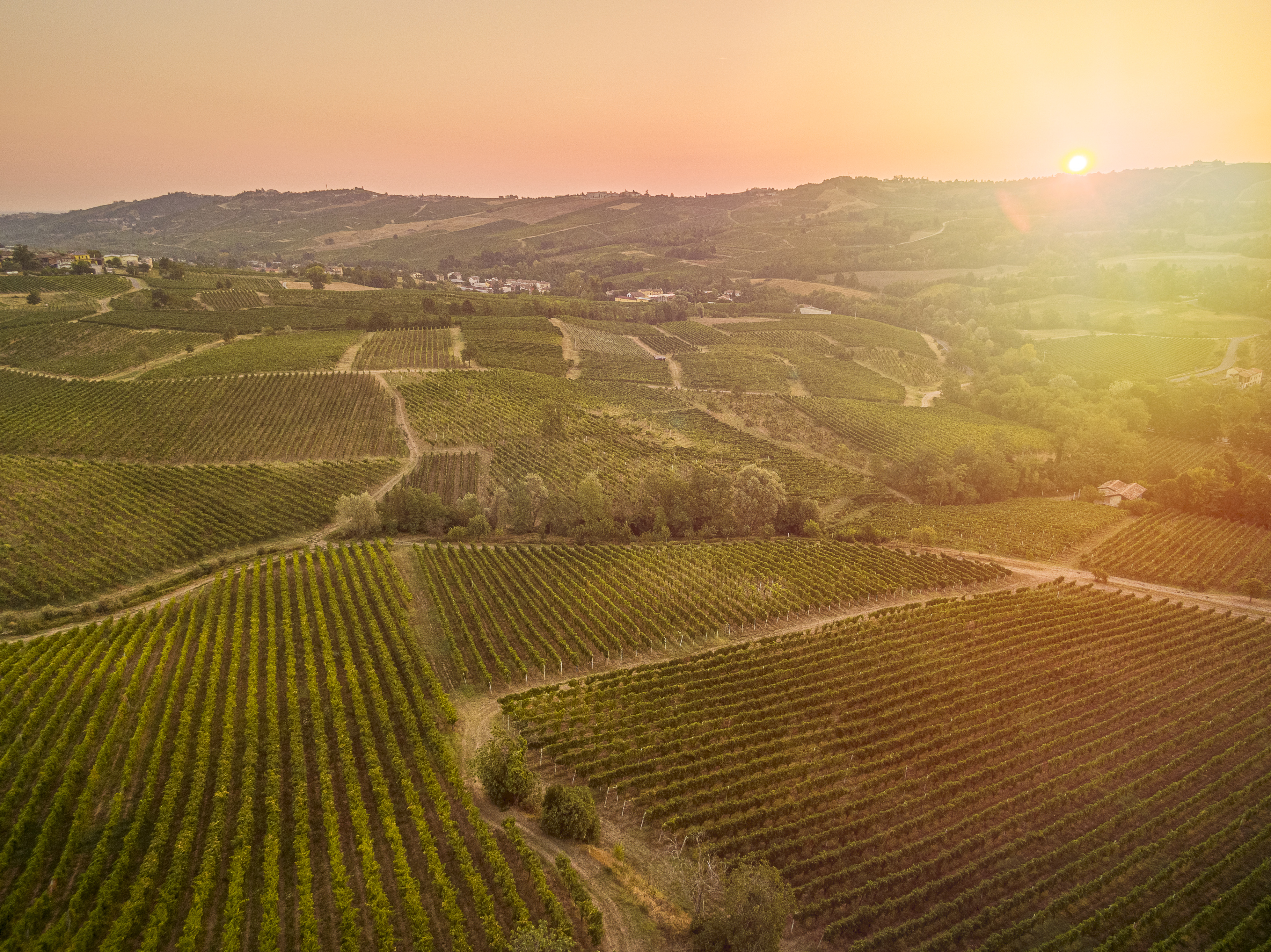 Agri-Food & Wine Venture Capital Italia - SME Investment Fund PMI